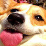 fermey
