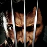 Wolvie