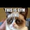 grumpy kitty
