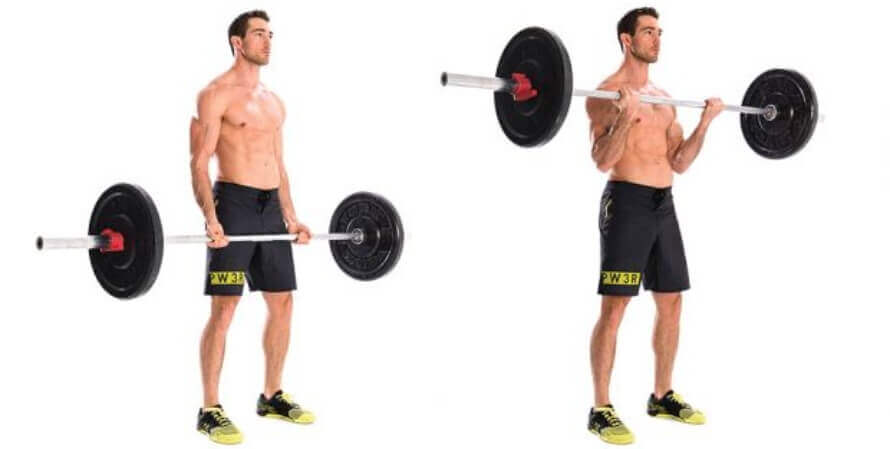 Barbell Curl
