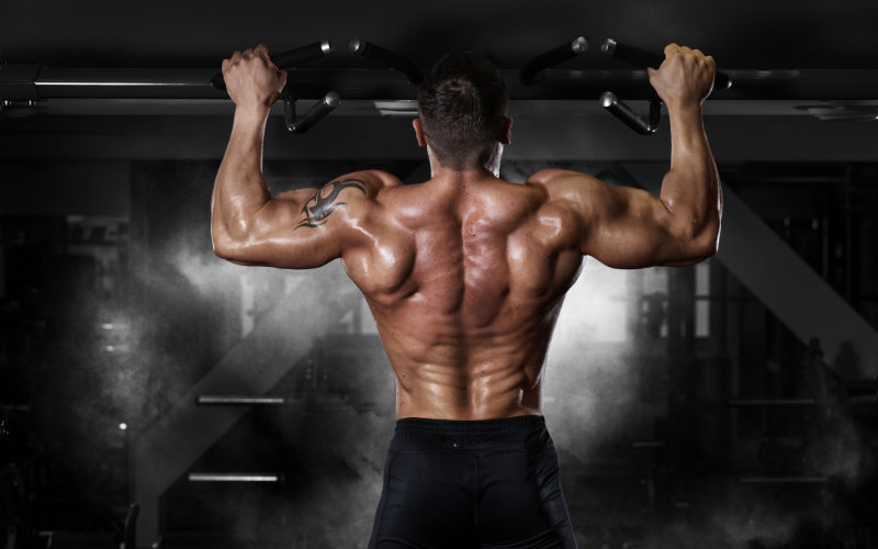 Backside of shirtless, muscular man doing pullups in a gym.