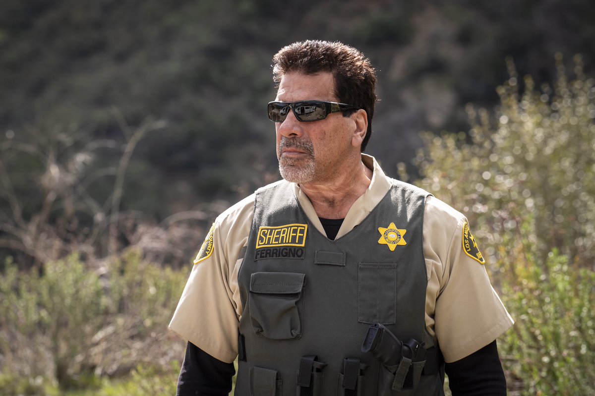 Lou Ferrigno Police