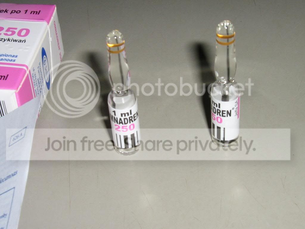 IMG_1117_zps90f2aad1.jpg