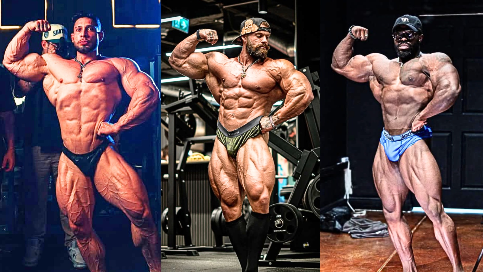 fitnessvolt.com