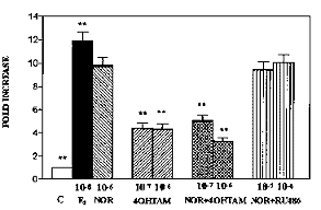 AF6iEX8.gif