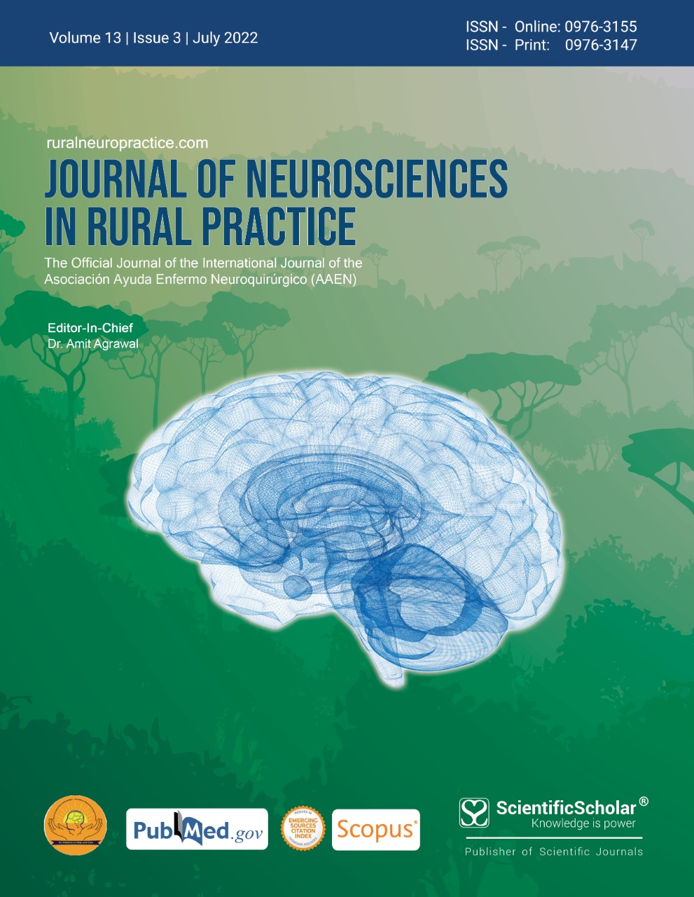 ruralneuropractice.com