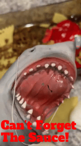 shark-puppet-cant-forget-the-sauce.gif
