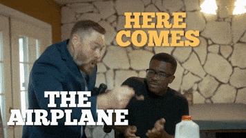 Airplane Voting GIF by BabylonBee Airplane Voting GIF by BabylonBee