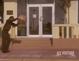 Jim Carrey Shipping GIF by Ace Ventura Jim Carrey Shipping GIF by Ace Ventura