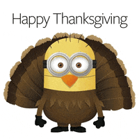 Thanksgiving Minions GIF by Wantering