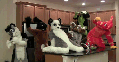 Furry Party GIF Furry Party GIF