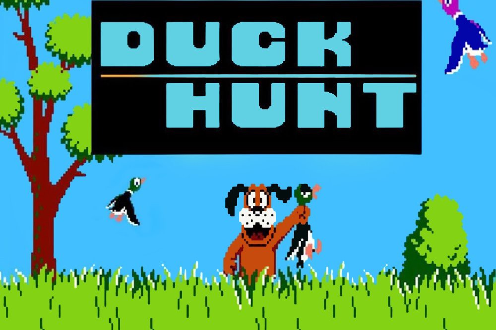Duck-Hunt-2.jpeg